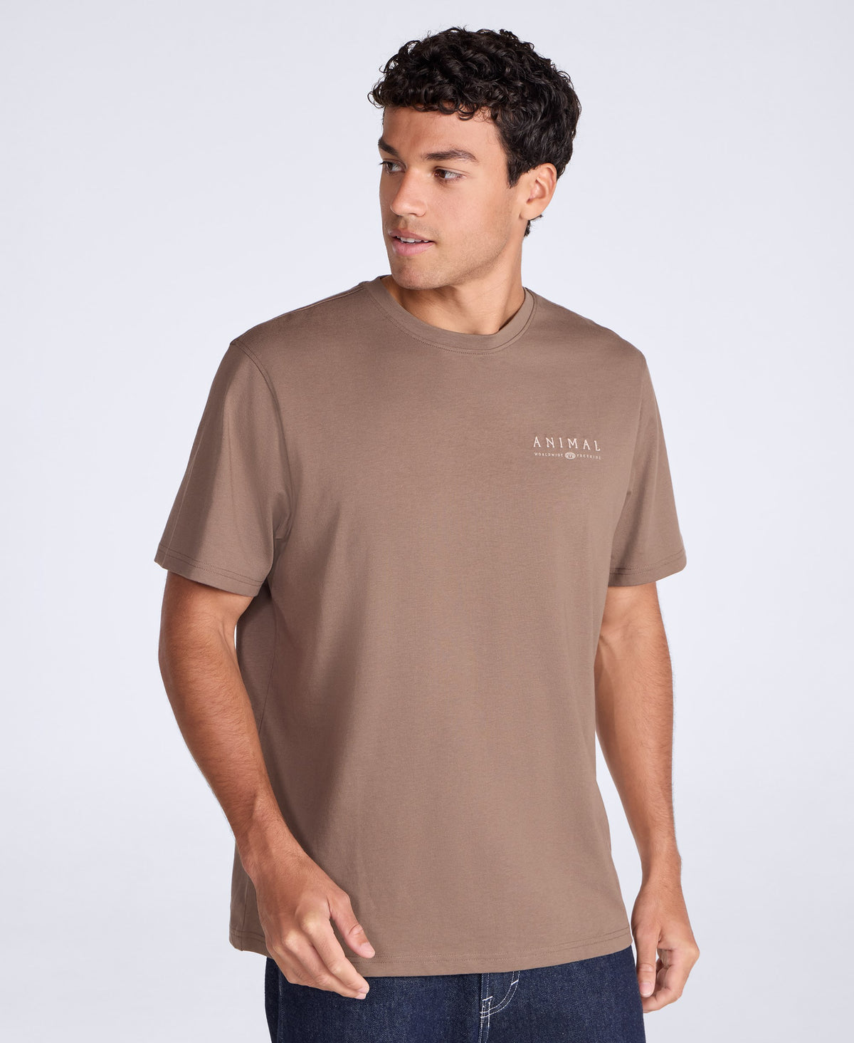 Chase Mens Plain Relaxed T-Shirt - Light Brown