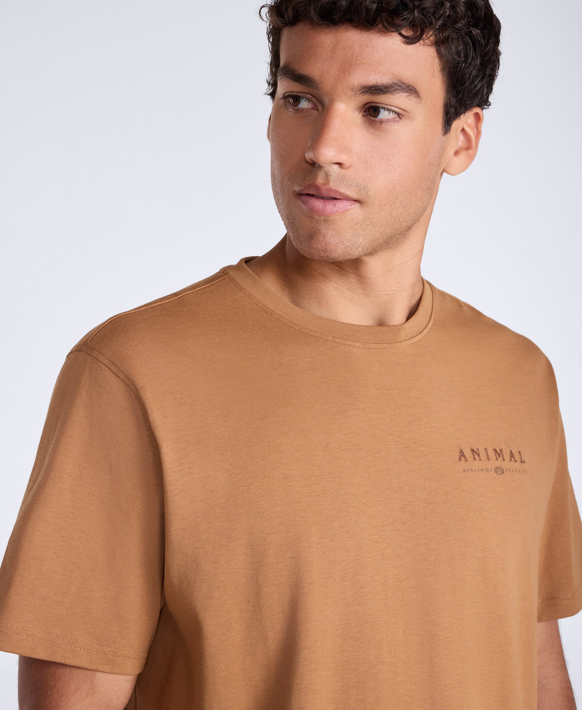 Chase Mens Plain Relaxed T-Shirt - Tan