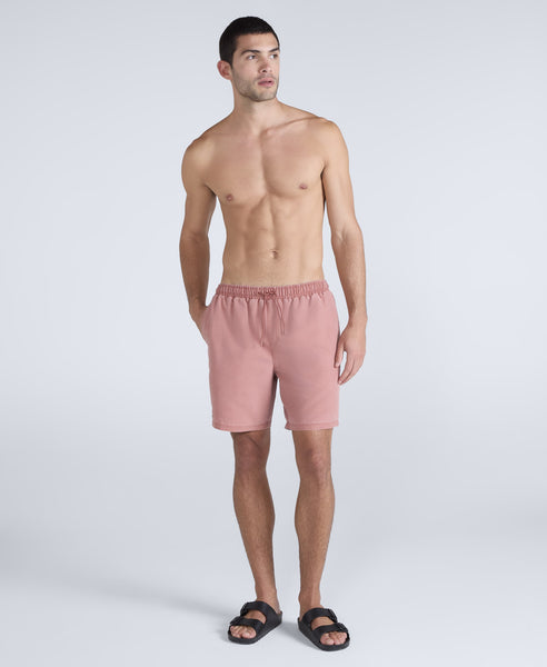 Deep Dive Mens Boardshorts Rust
