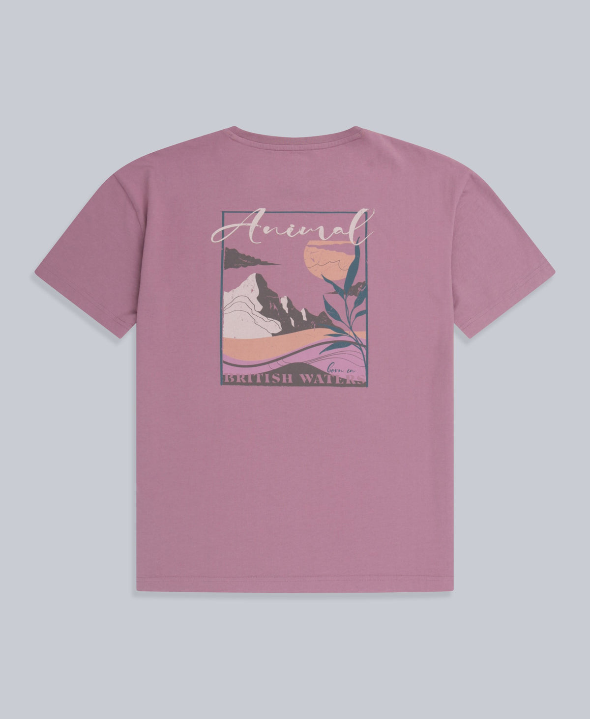 Leena Womens Boxy T-Shirt - Grape