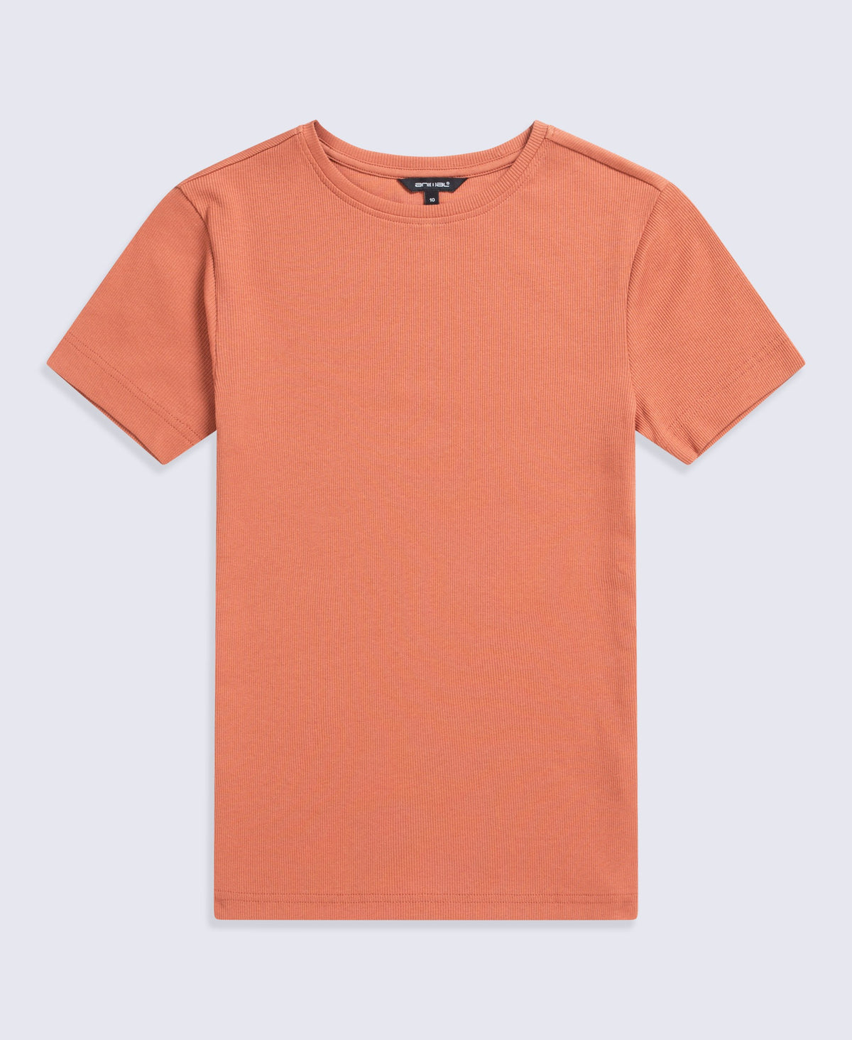 Evo Womens Ribbed T-Shirt - Rust