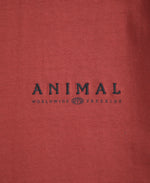 Chase Mens Summer Relaxed T-Shirt - Orange