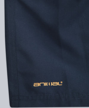 Deep Dive Mens Boardshorts - Dark Blue