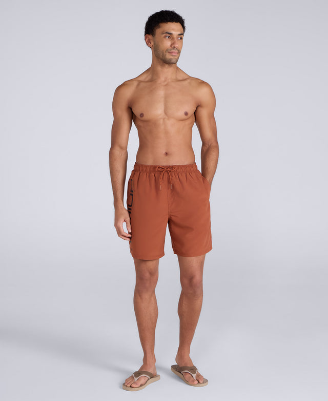 Deep Dive Mens Boardshorts - Orange