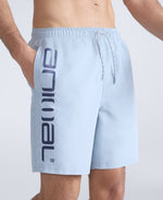 Deep Dive Mens Boardshorts - Pale Blue