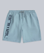 Deep Dive Mens Boardshorts - Pale Blue