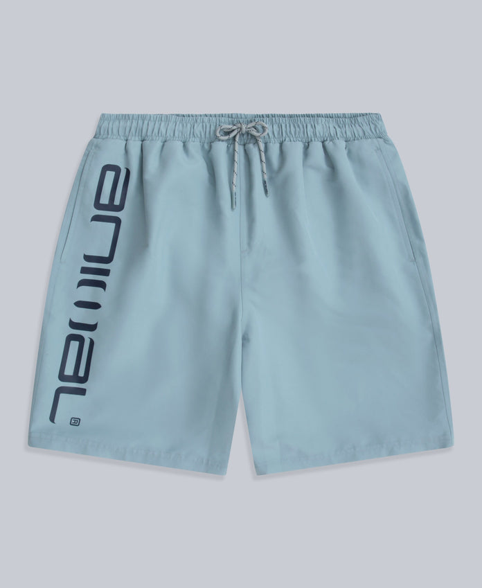 Deep Dive Mens Boardshorts - Pale Blue