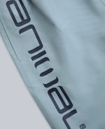 Deep Dive Mens Boardshorts - Pale Blue