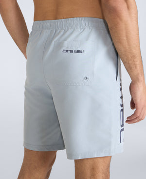 Deep Dive Mens Boardshorts - Pale Blue
