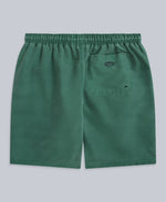 Deep Dive Mens Boardshorts - Pale Green