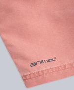 Deep Dive Mens Boardshorts - Rust