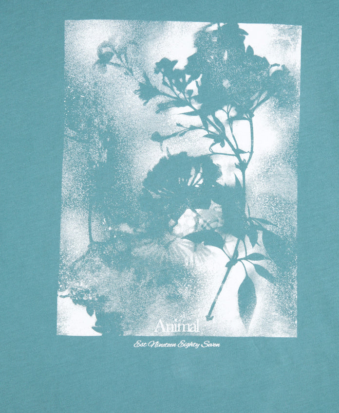Leena Womens Boxy T-Shirt - Teal