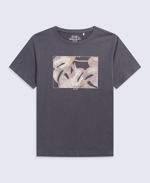 Carina Womens Graphic T-Shirt - Charcoal
