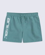 Voyage Kids Boardshorts - Pale Green