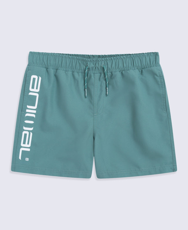 Voyage Kids Boardshorts - Pale Green