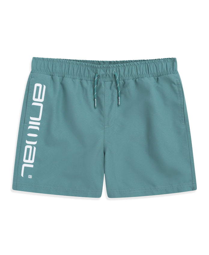 Voyage Kids Boardshorts - Pale Green