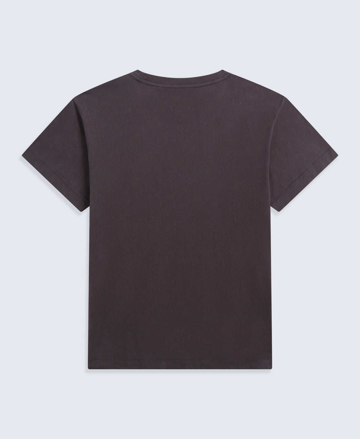 Idol Womens Relaxed Fit T-Shirt - Brown