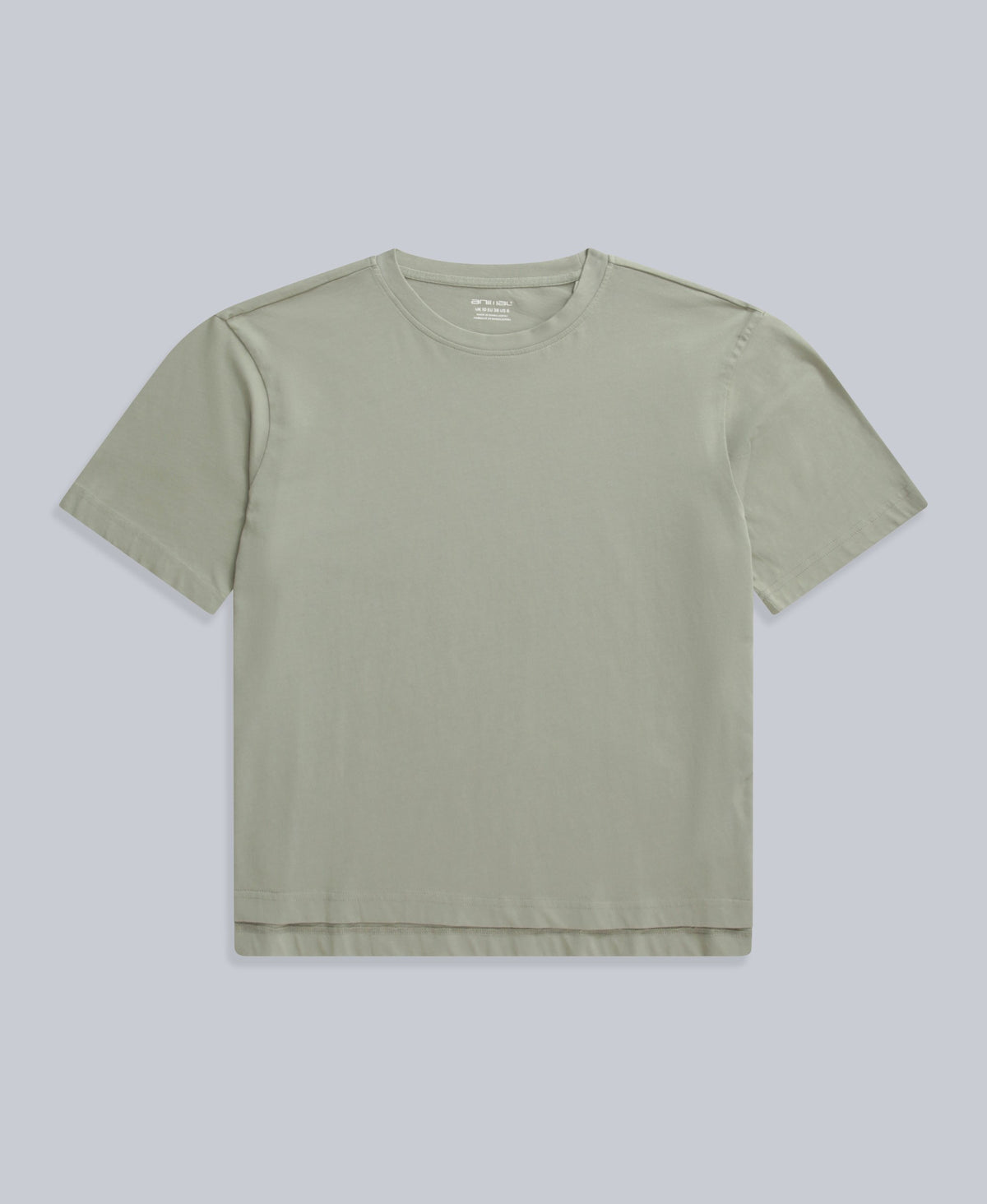 Idol Womens Relaxed Fit T-Shirt - Pale Green