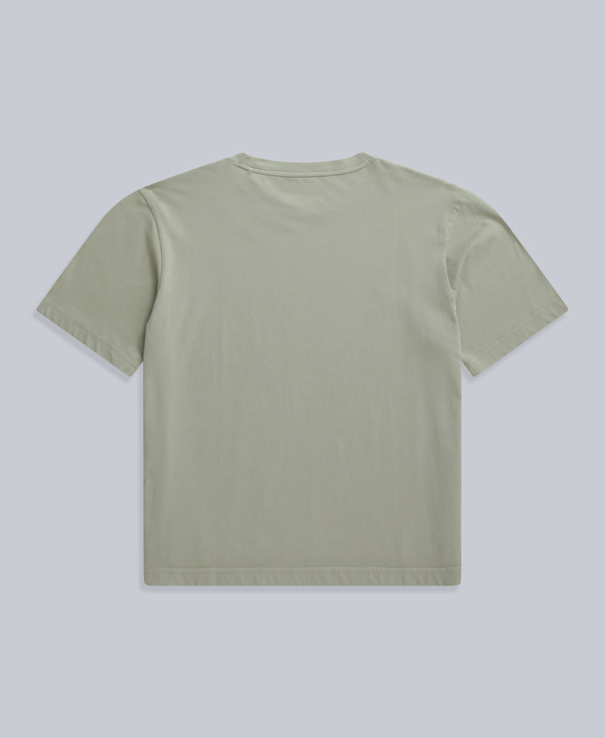 Idol Womens Relaxed Fit T-Shirt - Pale Green