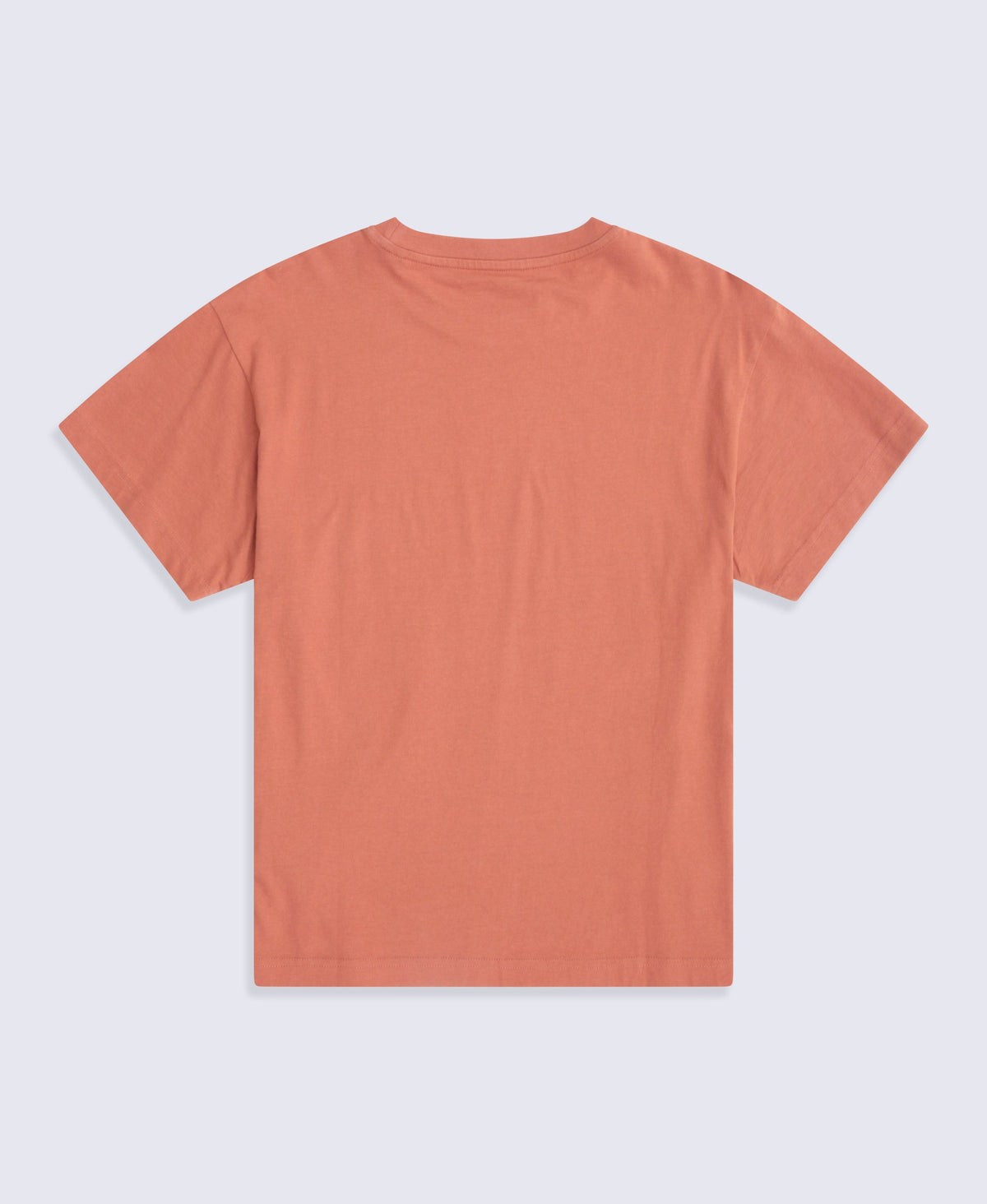 Idol Womens Relaxed Fit T-Shirt - Rust