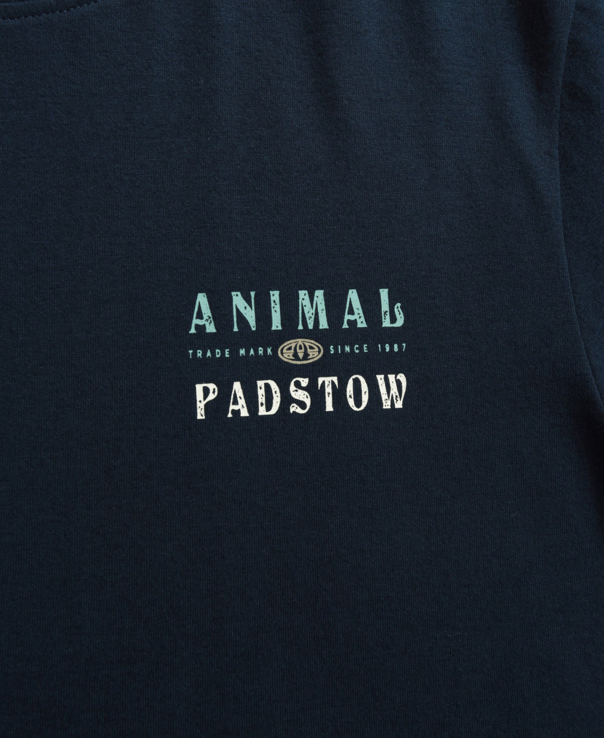 Jacob Padstow Mens Printed T-Shirt - Navy