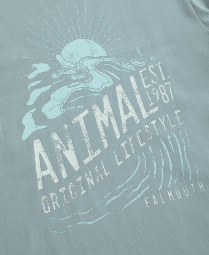 Falmouth Mens Printed T-Shirt - Blue