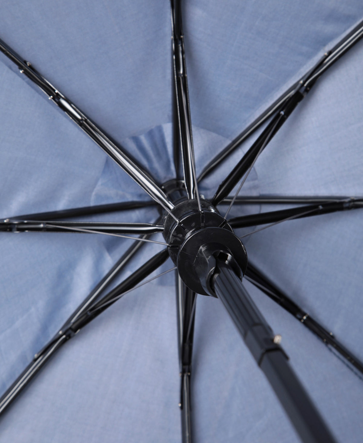 Animal Regional Mini Automatic Umbrella - Black