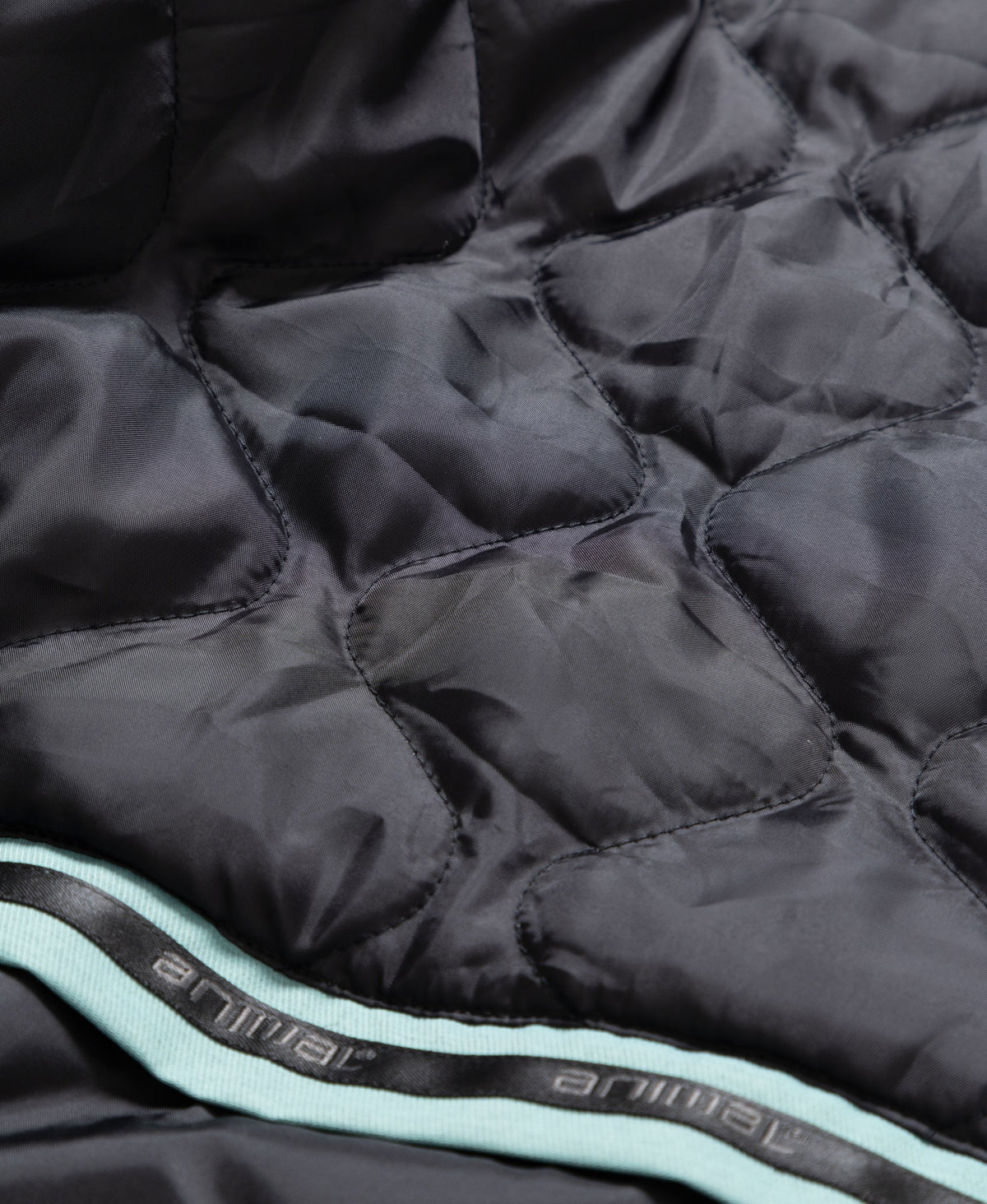 Interstellar Mens Waterproof Ski Jacket - Light Teal