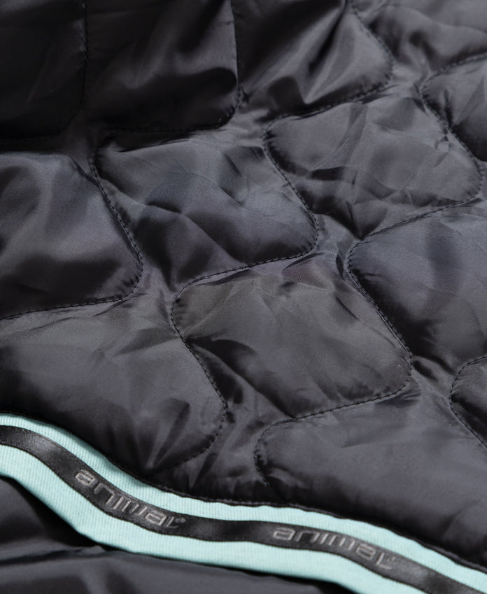 Interstellar Mens Waterproof Ski Jacket - Light Teal