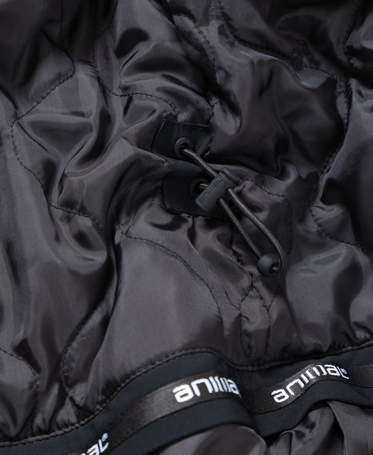 Angel Women's Softshell Ski Jacket - Black