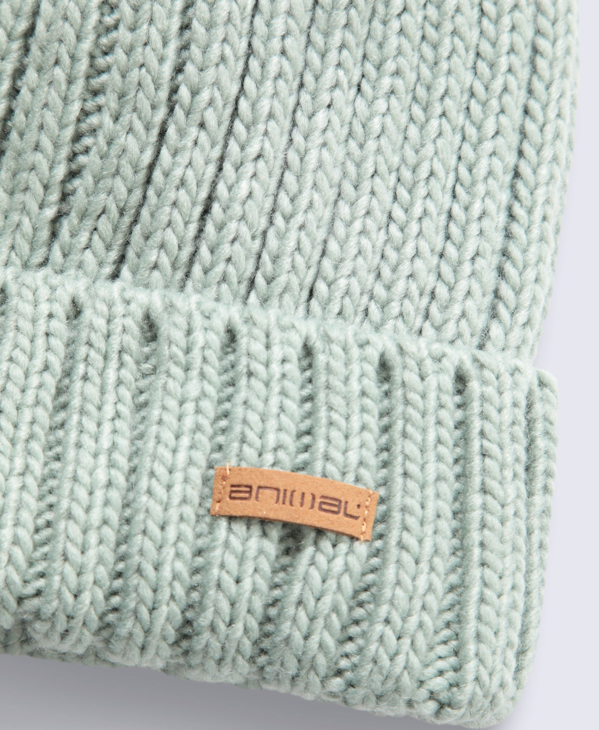 Geneva Womens Sherpa Lined Pom Beanie - Pale Green