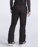 Interstellar Mens Waterproof Ski Pants - Black
