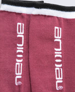 Polar Kids Ski Socks - Berry